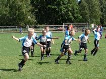 ROJA CUP-2007 (1995 г.р.,1997 г.р.)