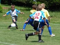 FRAGARIA CUP-2007 (1996 г.р.,1998 г.р.)