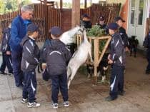НОВЫЙ ГОД - 2009