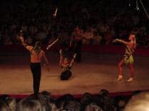 НОВЫЙ ГОД - 2009