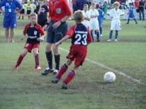 FRAGARIA CUP-2009 (1998 г.р. ,2000 г.р.)