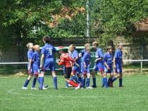 «FRAGARIA CUP-2010»