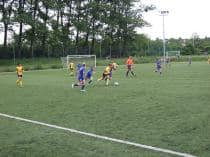 «FRAGARIA CUP-2010»
