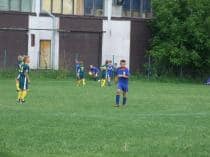 «FRAGARIA CUP-2010»