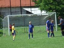 «FRAGARIA CUP-2010»