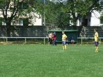 «FRAGARIA CUP-2010»