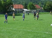 «FRAGARIA CUP-2010»
