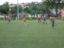 «FRAGARIA CUP-2010»