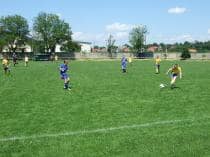 «FRAGARIA CUP-2010»