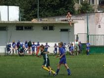 «FRAGARIA CUP-2010»