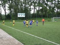 «FRAGARIA CUP-2010»