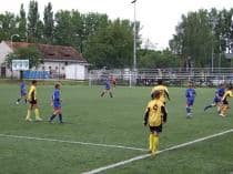«FRAGARIA CUP-2010»