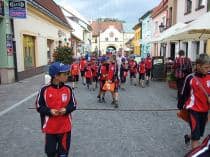 «FRAGARIA CUP-2010»