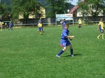 «FRAGARIA CUP-2010»