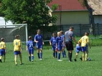 «FRAGARIA CUP-2010»