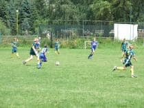 «FRAGARIA CUP-2010»