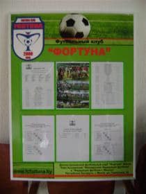 «Кубок «Фортуны» - 2012» (2004)