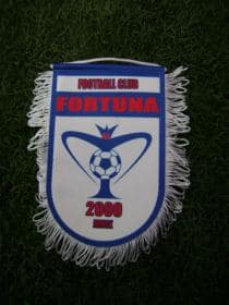 «Кубок «Фортуны» - 2012» (2004)
