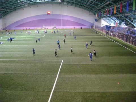 «Кубок «Фортуны» - 2013» (2005)