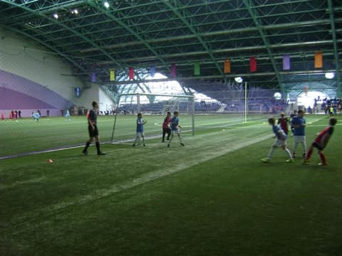 «Кубок «Фортуны» - 2013» (2005)