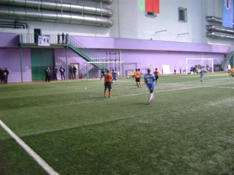 «Кубок «Фортуны» - 2013» (2005)