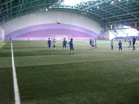 «Кубок «Фортуны» - 2013» (2005)