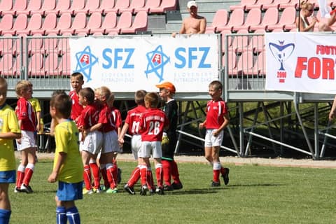 Международный детский турнир «FRAGARIA CUP- 2013» (г. Прешов)