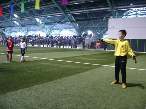 «Кубок «Фортуны» - 2013» (2005)