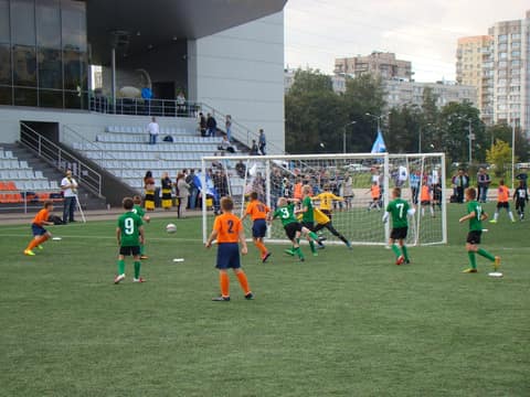 «Веселые ребята-2014» (U-9, 2005)