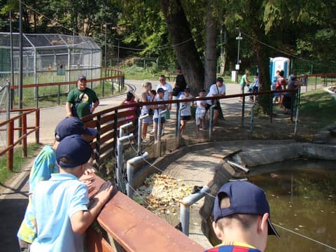 "BRASOV JUNIORS CUP-2015" (2005)