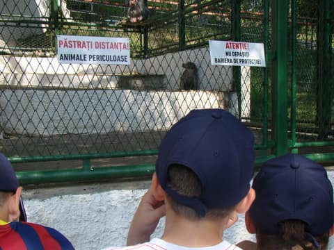 "BRASOV JUNIORS CUP-2015" (2005)