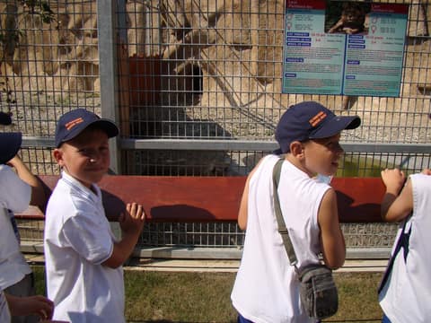 "BRASOV JUNIORS CUP-2015" (2005)