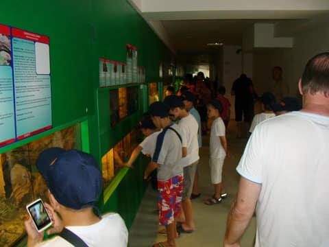 "BRASOV JUNIORS CUP-2015" (2005)