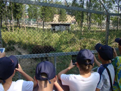 "BRASOV JUNIORS CUP-2015" (2005)
