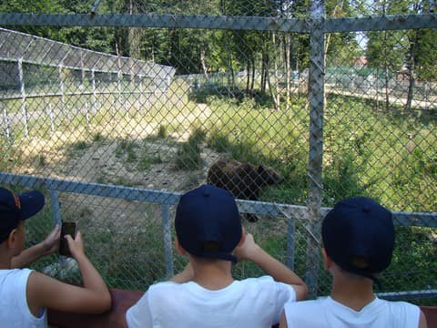 "BRASOV JUNIORS CUP-2015" (2005)