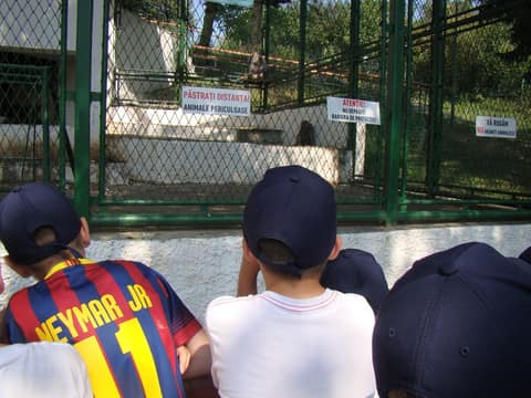 "BRASOV JUNIORS CUP-2015" (2005)