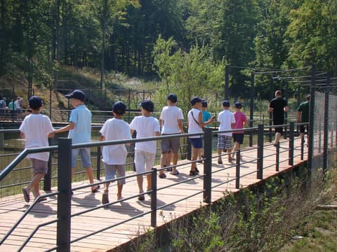 "BRASOV JUNIORS CUP-2015" (2005)