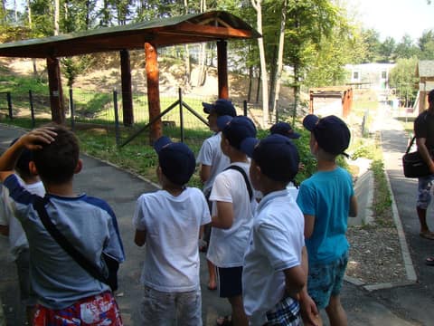 "BRASOV JUNIORS CUP-2015" (2005)