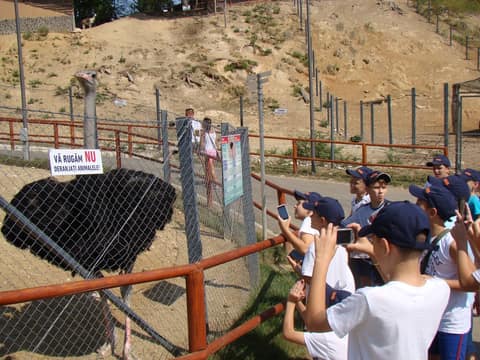 "BRASOV JUNIORS CUP-2015" (2005)