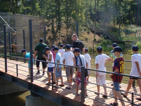 "BRASOV JUNIORS CUP-2015" (2005)