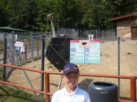 "BRASOV JUNIORS CUP-2015" (2005)
