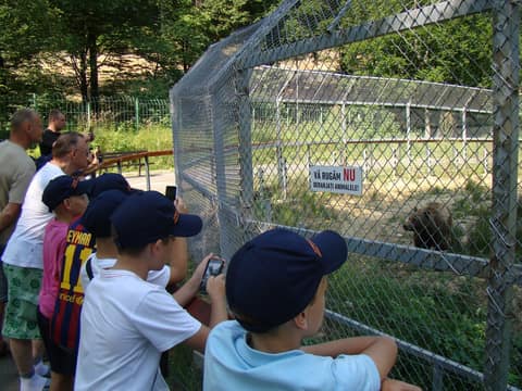 "BRASOV JUNIORS CUP-2015" (2005)