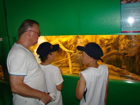 "BRASOV JUNIORS CUP-2015" (2005)