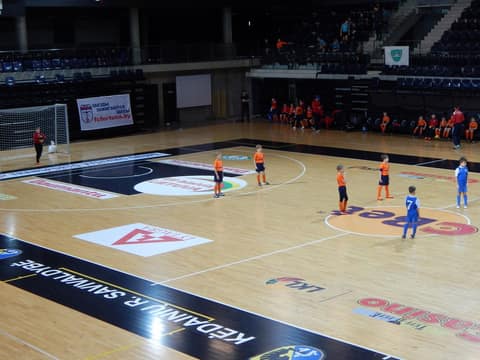 «KEDAINIAI ARENA CUP-2017» (U9, U-8)