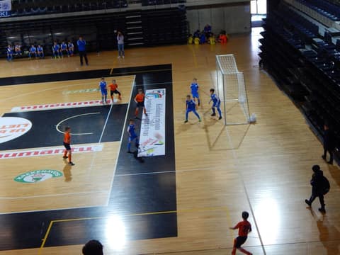 «KEDAINIAI ARENA CUP-2017» (U9, U-8)