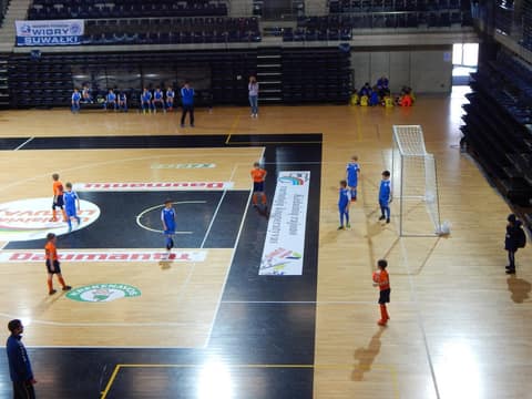 «KEDAINIAI ARENA CUP-2017» (U9, U-8)