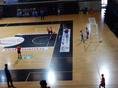 «KEDAINIAI ARENA CUP-2017» (U9, U-8)