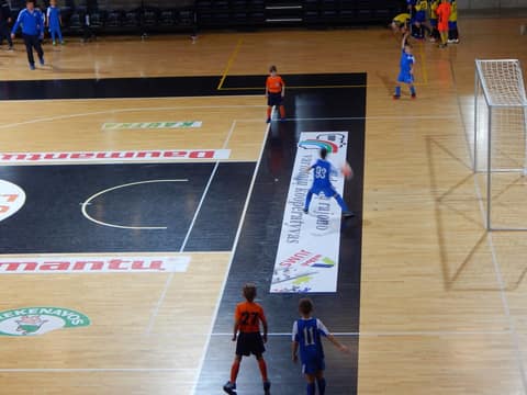 «KEDAINIAI ARENA CUP-2017» (U9, U-8)