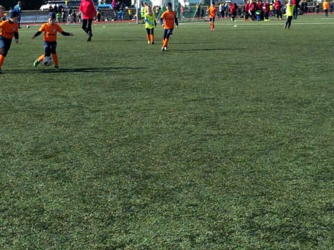«TIGER CUP 2018» (2008, 2009)