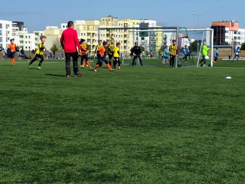 «TIGER CUP 2018» (2008, 2009)